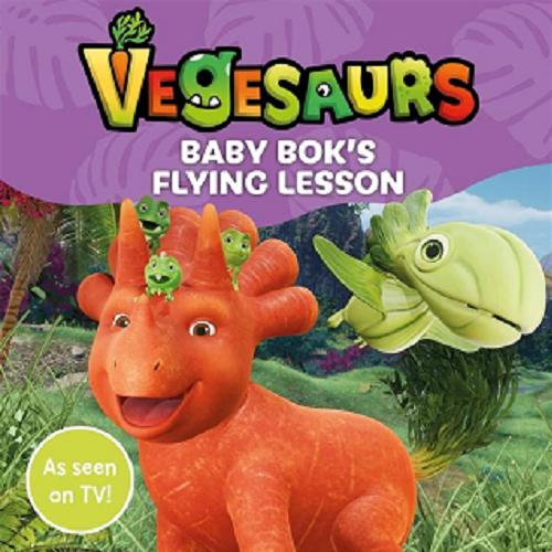 Okładka książki Baby Bok`s Flying Lesson.