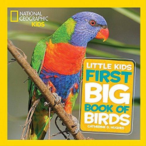 Okładka książki  Little kids first big book of birds  2