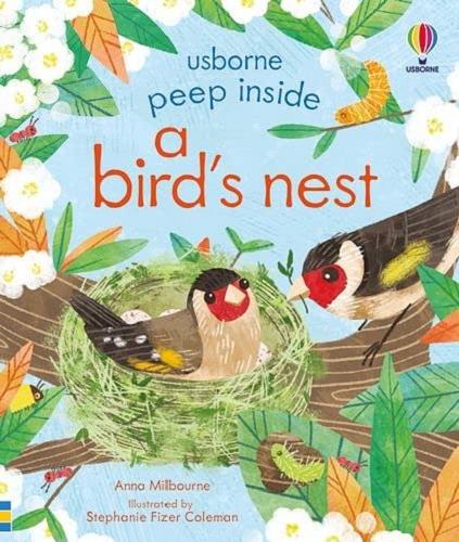 Okładka książki A bird`s nest / Anna Milbourne ; illustrated by Stephanie Fizer Coleman.