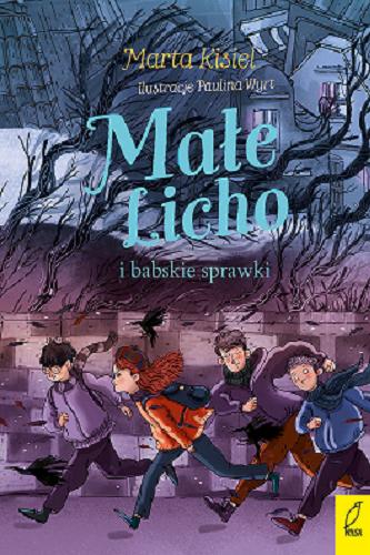 Okładka  Małe Licho i babskie sprawki / Marta Kisiel ; ilustracje Paulina Wyrt.