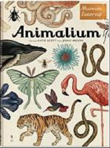 Okładka książki Animalium / ilustracje Katie Scott ; tekst Jenny Broom ; z języka angielskiego przełożyła Katarzyna Rosłan.