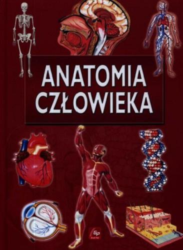 Okładka książki Anatomia człowieka / [tłumaczenie: Iwona Wińska-Nestorowicz].