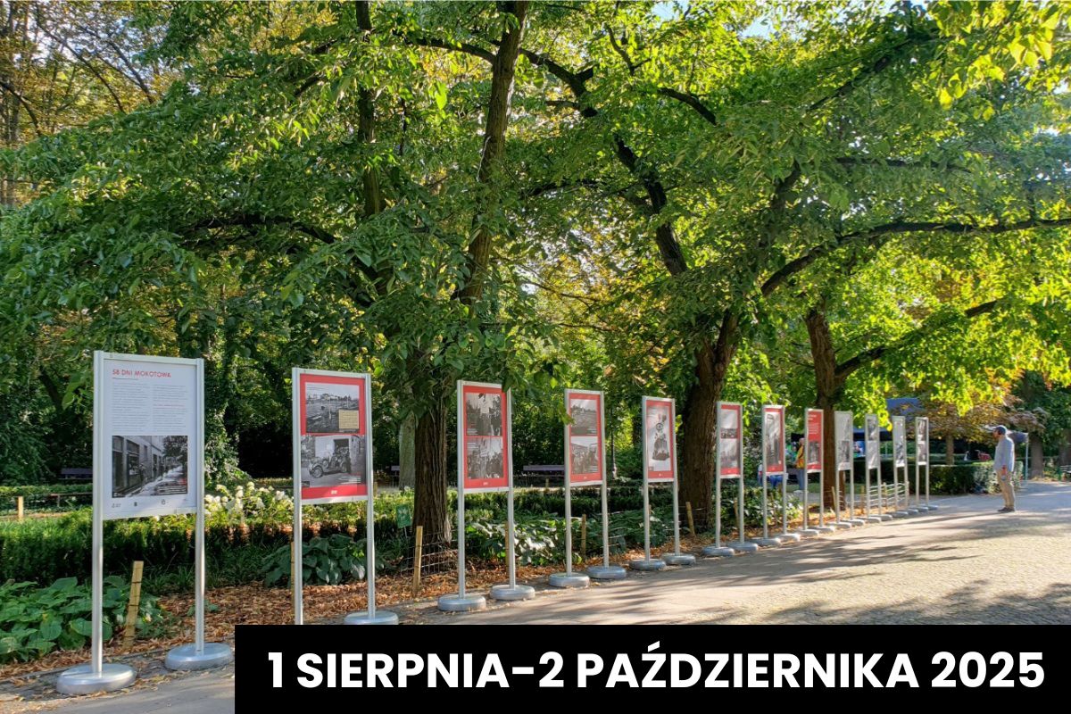 Stojaki z planszami wystawy stoją w parku, w tle zielone liściaste drzewa