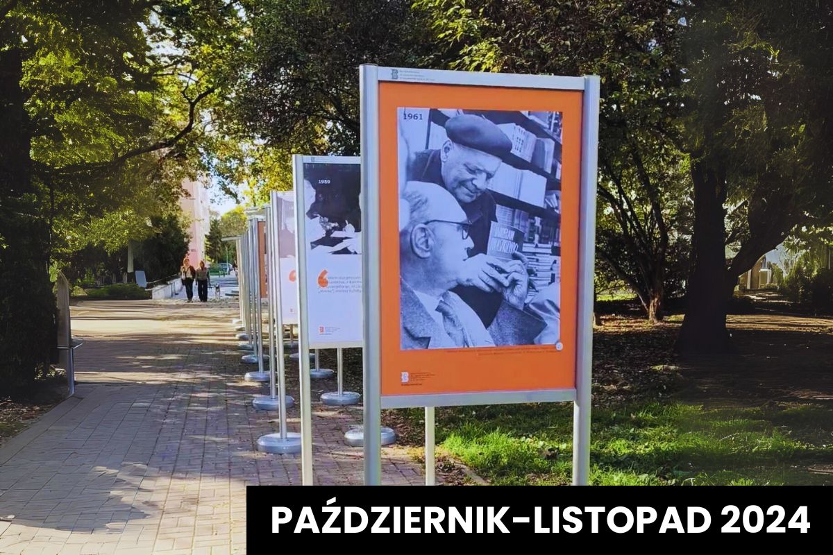 Rząd stojaków wystawowych stojących jeden za drugim w parkowej alejce