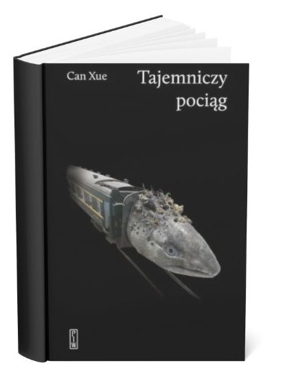 Okładka książki "Tajemniczy pociąg" Can Xue