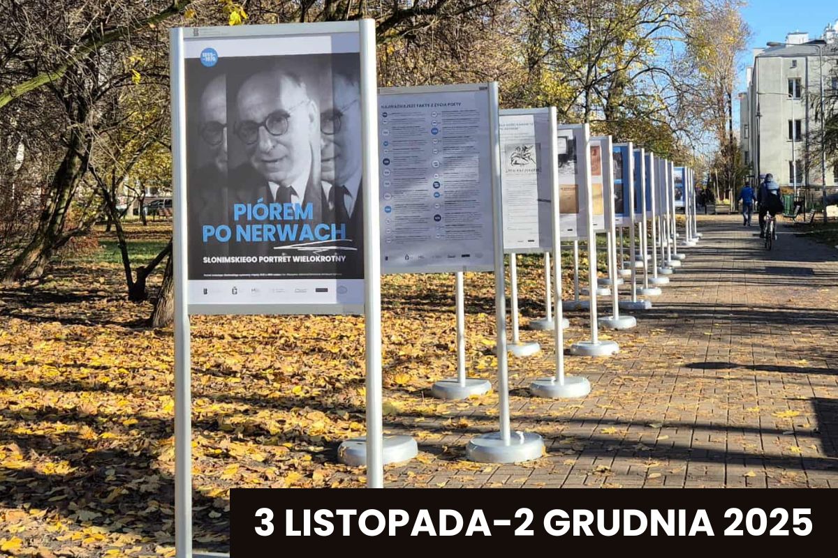 Stojaki z wystawą plenerową, jesienny krajobraz, chodnik z żółtymi liśćmi, napis: 3 listopada-2 grudnia