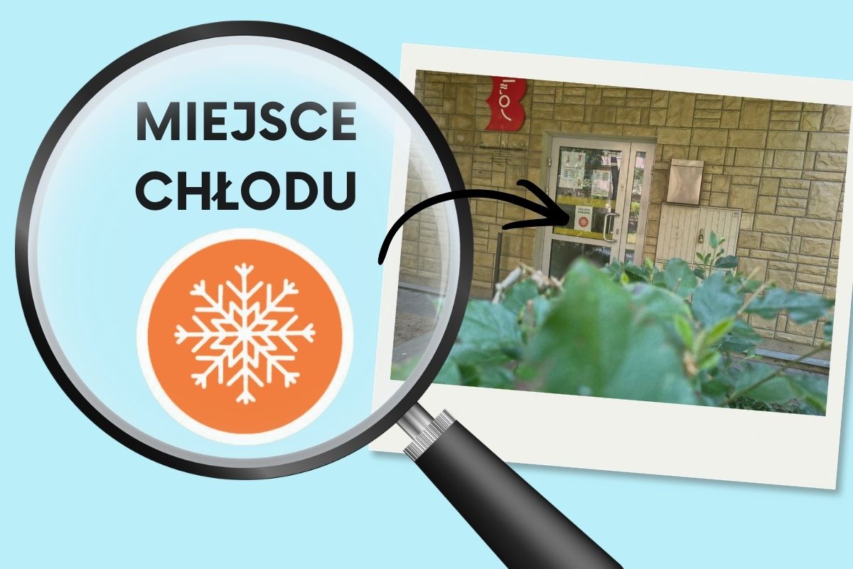 Na błękitnym tle lupa powiększająca znaczek pomarańczowej śnieżynki i napis: miejsce chłodu, obok zdjęcie wejścia do biblioteki
