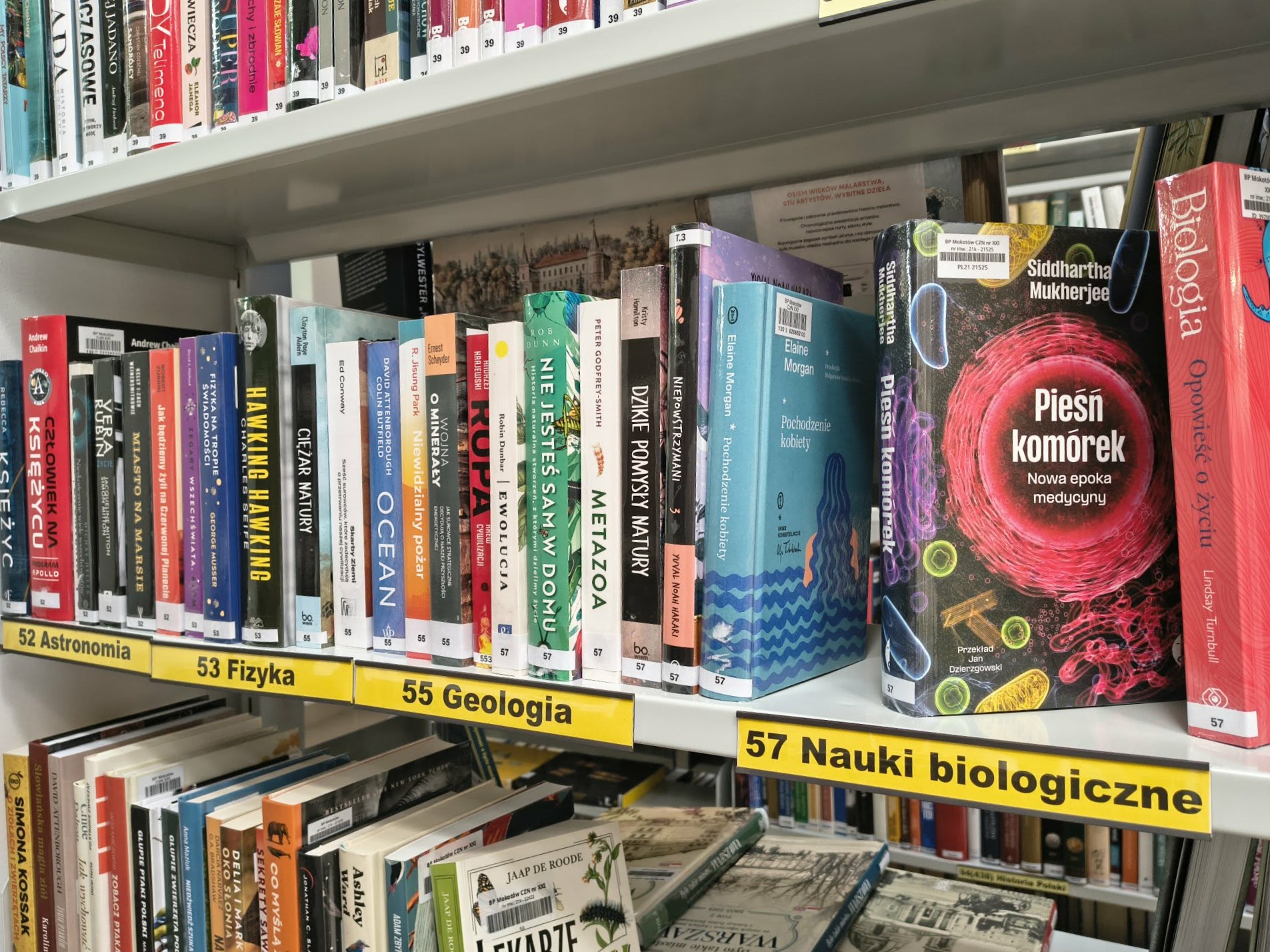 Metalowa biblioteczna półka z książkami, opisy, do jakiej dziedziny należą