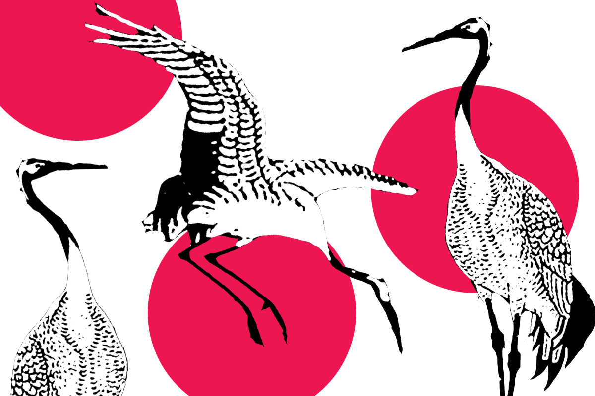 Ilustracja trzech czapli na białym tle