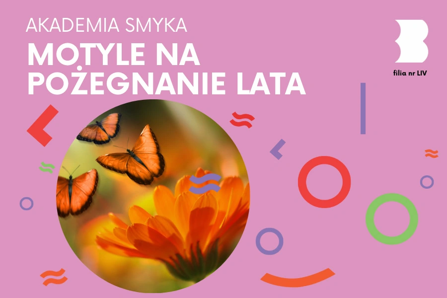 bd54_akademia_smyka_motyle-900x