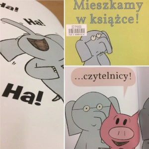 Polecajka - Mieszkamy w książce