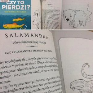 Polecajka - Czy to pierdzi?
