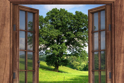 Drewniane okno otwiera się na zewnątrz. Za nim stoi wysokie, solidne drzewo ubrane w zielone liście. W tle błękitne niebo z nielicznymi białymi obłokami.