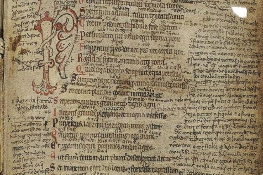 Fragment starej księgi, łacińskie odręczne napisy