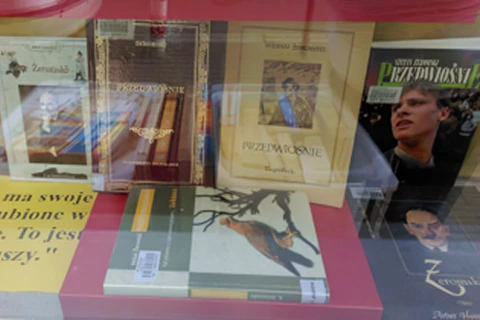 W witrynie biblioteki kilka książek Żeromskiego.