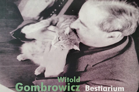 Gombrowicz z kotkiem na okładce książki Bestiarium.