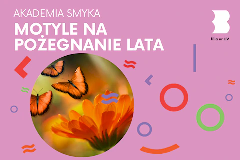 Pomarańczowy kwiat, nad którym latają trzy pomarańczowo-czarne motyle.