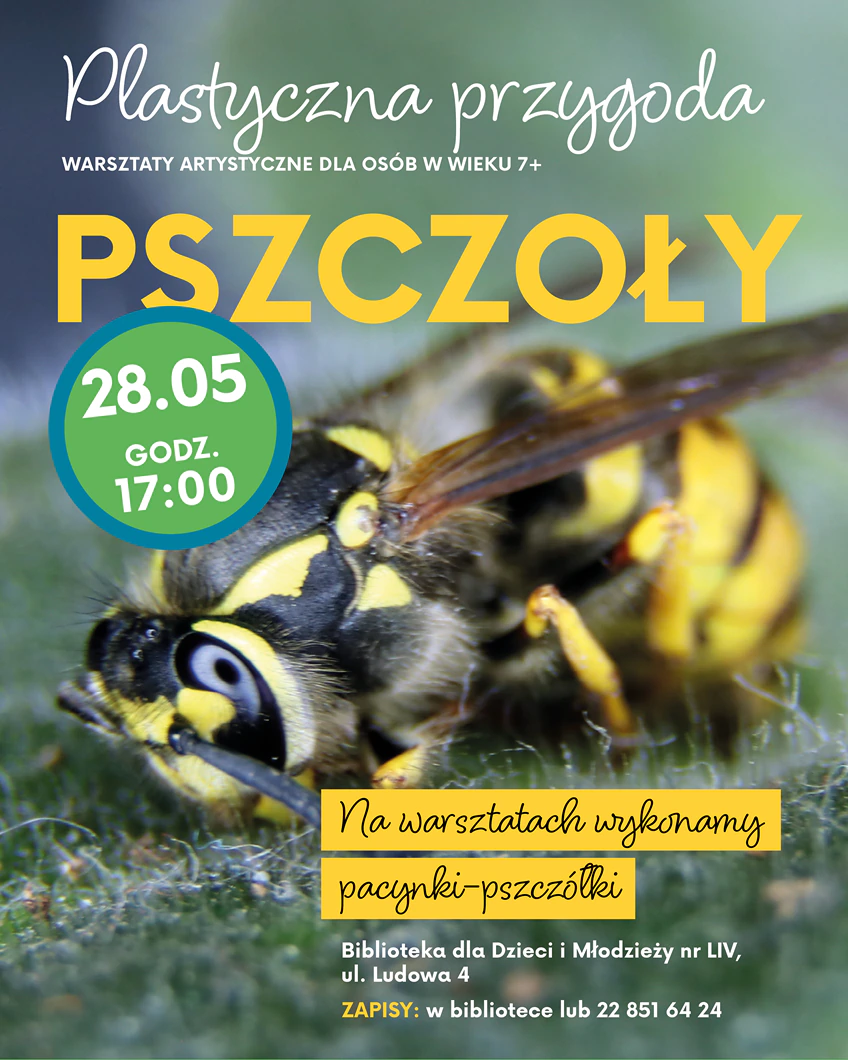 Pszczoła w dużym powiększeniu siedzi na sztucznej wykładzinie.