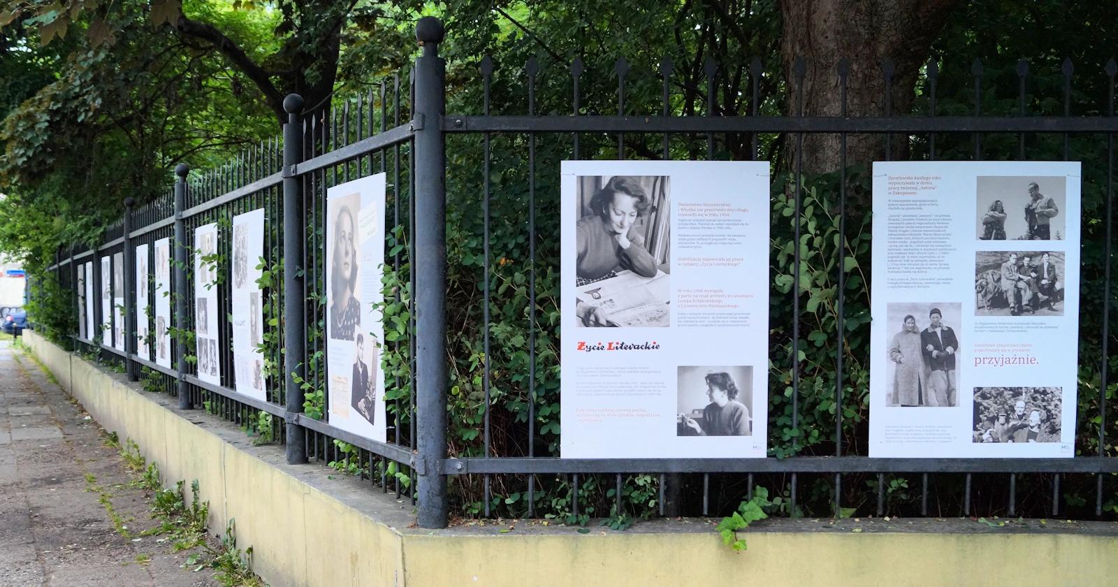 Róg parku tonącego w zieleni. Na prawym ogrodzeniu dwie duże plansze ze zdjęciami i jakimś tekstem. Na lewym dziewięć plansz wystawy o Szymborskiej.