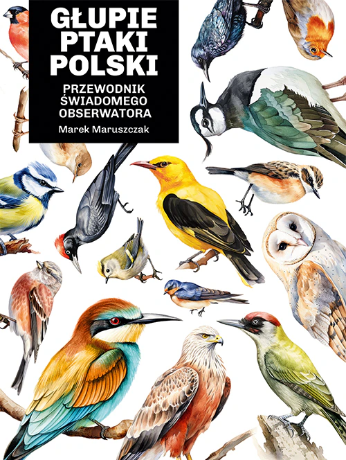Na okładce książki przeróżne ptaki na białym tle.