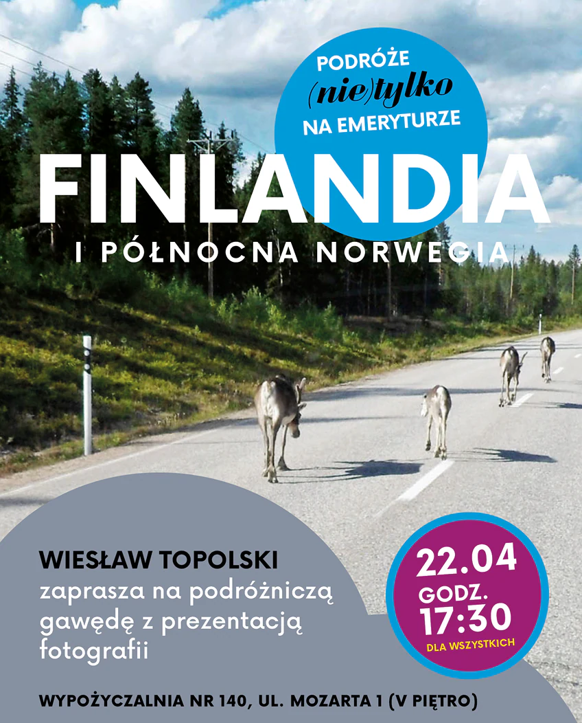 Wśród wzgórz, po asfaltowej drodze idą łosie.
