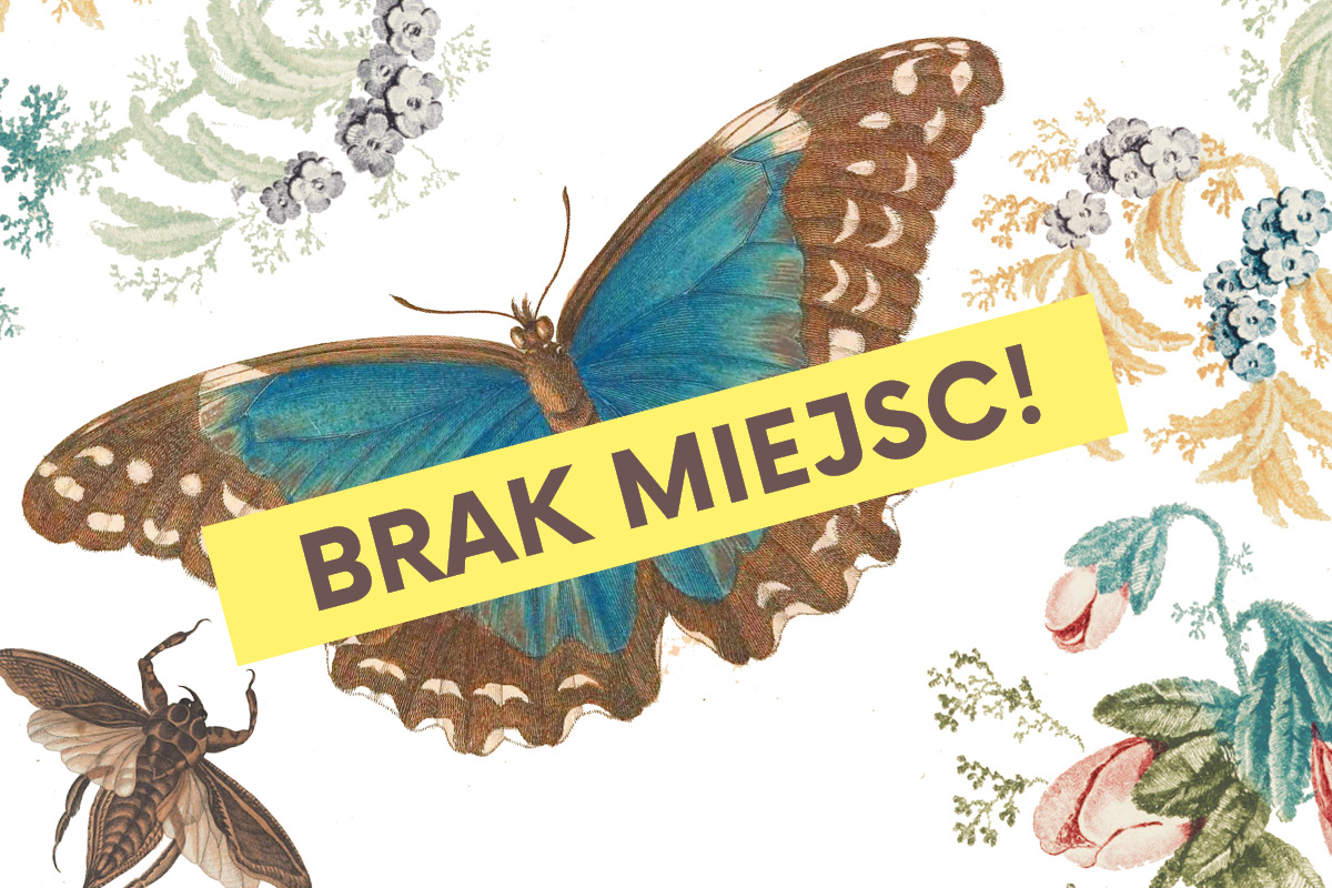 Kolaż przedstawiający rysunki biologiczne roślin i owadów na białym tle. W centralnej części błękitno-brązowy motyl.