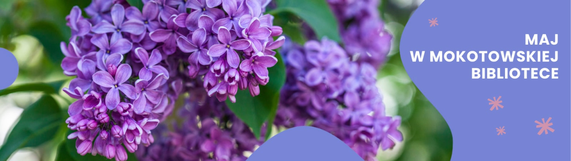 Fioletowe kwiaty bzu, w tle zieolne liście, fioletowe elementy ozdobne, różowe gwiazdki, napis: Maj w mokotowskiej Bibliotece