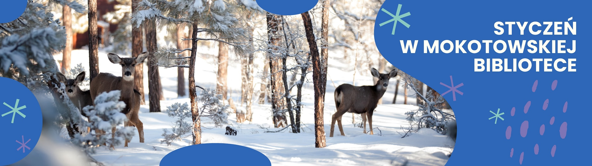 Las w śniegu z dwiema sarnami. Do tego tekst: styczeń w mokotowskiej bibliotece.
