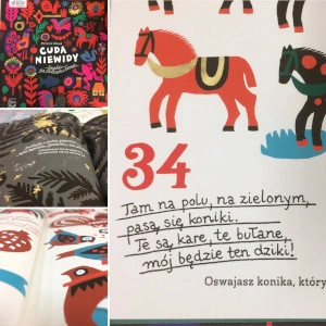 Polecajka - Cuda Niewidy