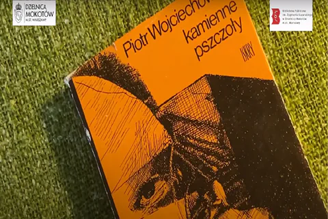 Okładka książki Piotra Wojciechowskiego "Kamienne Pszczoły