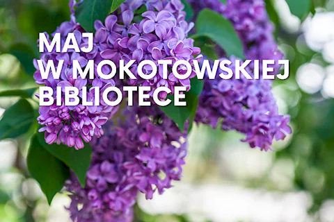 Fioletowe kwiaty bzu zwisają z gałęzi.