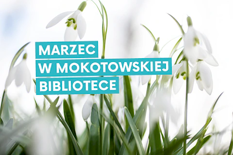 Zdjęcie przebiśniegów z poziomu gruntu.