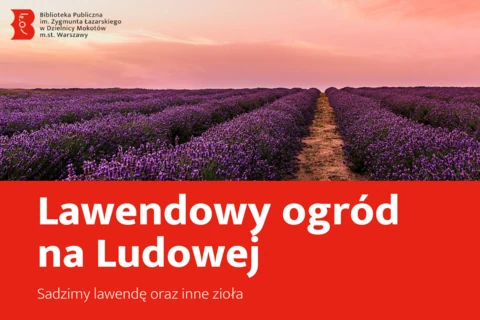 Na górnej połowie pole fioletowej lawendy rozciąga się aż po horyzont. Słońce ukryte za chmurami chyli się ku zachodowi, zabarwiając niebo na jasną czerwień. Poniżej tekst: lawendowy ogród na Ludowej; sadzimy lawendę oraz inne zioła.