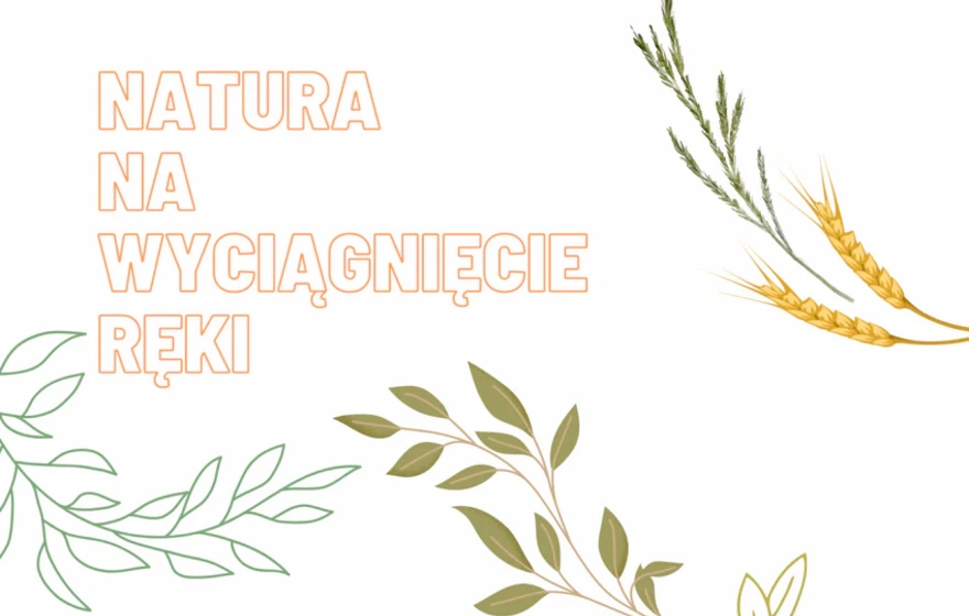 bd54_natura_na_wyciagnięcie_reki-kalendarz