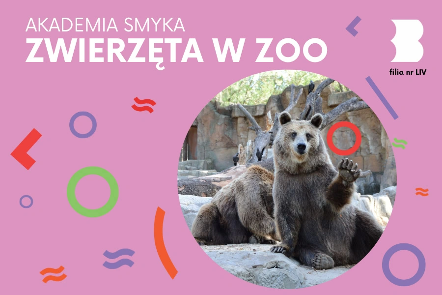 Dwa misie na wybiegu w zoo. Jeden z nich macha łapą do odwiedzających.