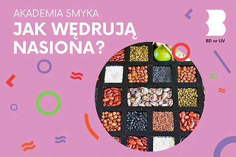 Widok z góry na kwadratowe pojemniki pełne przeróżnych nasion.
