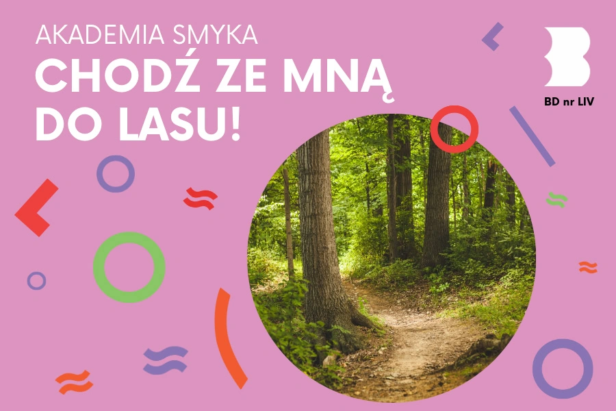 Gruntowa ścieżka w środku zielonego lasu.