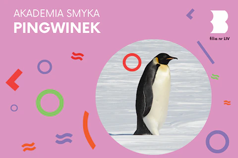 Dorosły pingwin idzie po śniegu.