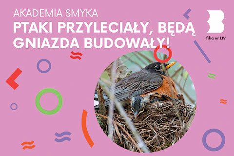 W gnieździe siedzi ptak, a spod niego wystaje łepek pisklaka.