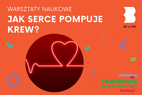 Linia kardiologiczna, która przekształca się w rysunek serca.