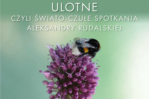 Owad, trzmiel siedzi na fioletowym kwiatku. Powyżej tekst: ulotne, czyli światło-czułe spotkania Aleksandry Rudalskiej.