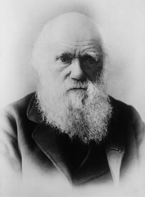 Zdjęcie Darwin, Charles