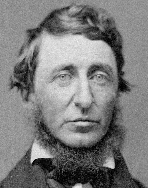 Zdjęcie Thoreau, Henry David
