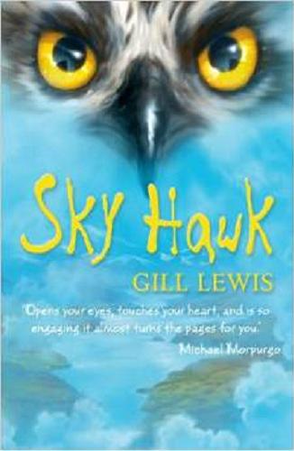 Okładka książki  Sky hawk  2