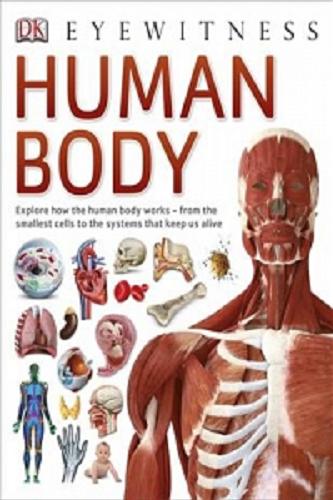 Okładka książki  Human body  1