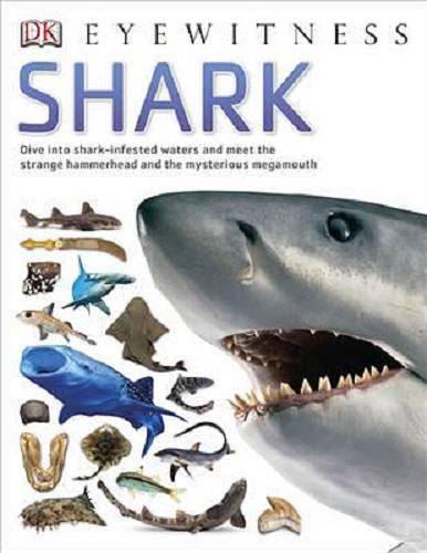 Okładka książki Shark / written by Miranda Macquitty.