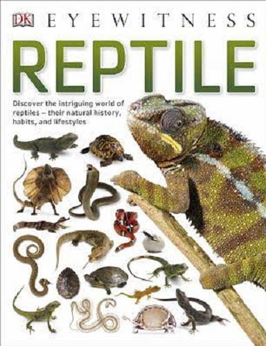 Okładka książki Reptile / written by Colin McCarthy.