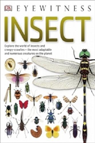 Okładka książki Insect / written by Laurence Mound.