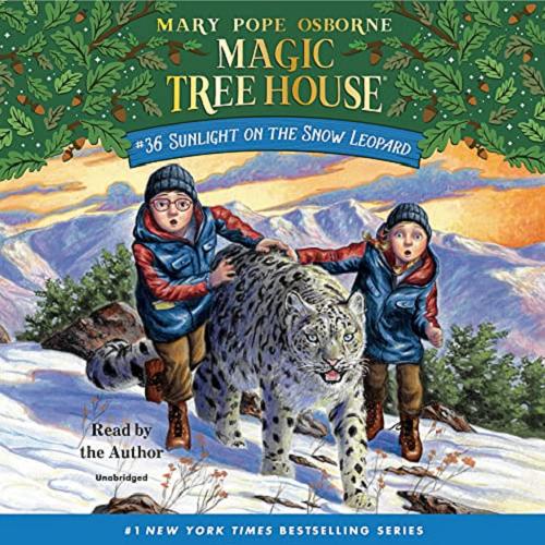 Okładka książki Sunlight on the snow leopard [Dokument dźwiękowy] / Mary Pope Osborne.