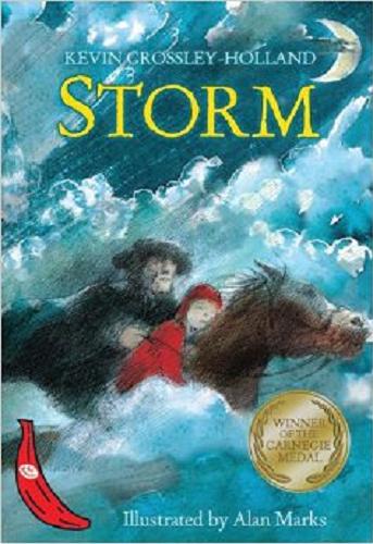 Okładka książki  Storm  3